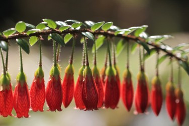 珠海斗门区4私人快速借钱网，轻松解决资金难题