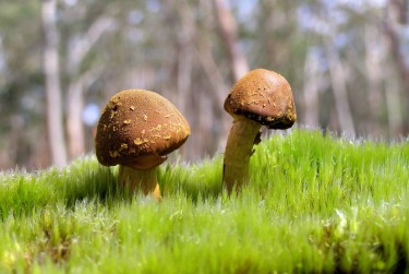 珠海斗门区4私人老板放款：轻松融资的秘密通道